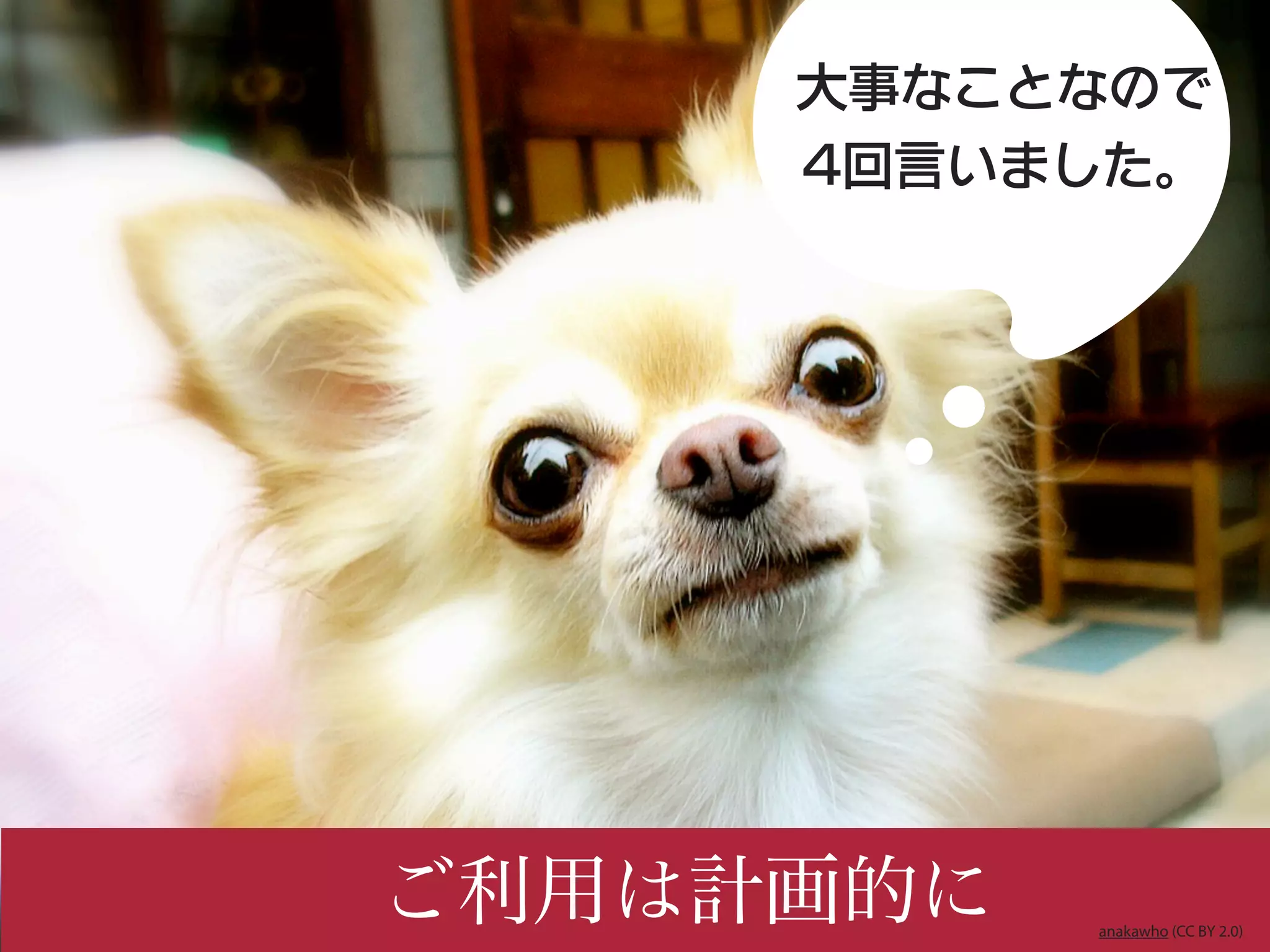 大事なことなので
     4回言いました。




ご利用は計画的に   anakawho (CC BY 2.0)
 