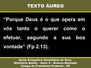 “Porque Deus é o que opera em
vós tanto o querer como o
efetuar, segundo a sua boa
vontade” (Fp 2.13).
TEXTO ÁUREO
Igreja Evangélica Assembleia de Deus
Ministério Belém – Setor 5 – Álvares Machado
Campo de Presidente Prudente - SP
 