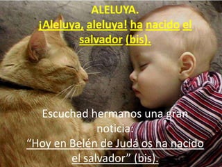 ALELUYA.
¡Aleluya, aleluya! ha nacido el
salvador (bis).

Escuchad hermanos una gran
noticia:
“Hoy en Belén de Judá os ha ...