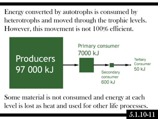 Energy converted by autotrophs is consumed by
heterotrophs and moved through the trophic levels.
However, this movement is not 100% efficient.

Some material is not consumed and energy at each
level is lost as heat and used for other life processes.
5.1.10-11

 
