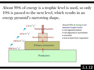 About 90% of energy is a trophic level is used, so only
10% is passed to the next level, which results in an
energy pyramid’s narrowing shape.

5.1.12

 