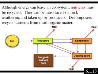 Although energy can leave an ecosystem, nutrients must
be recycled. They can be introduced via rock
weathering and taken up by producers. Decomposers
recycle nutrients from dead organic matter.

5.1.13

 