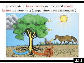 In an ecosystem, biotic factors are living and abiotic
factors are non-living (temperature, precipitation, etc.)

5.1.1

 