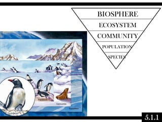 BIOSPHERE
ECOSYSTEM
COMMUNITY
POPULATION
SPECIES

5.1.1

 