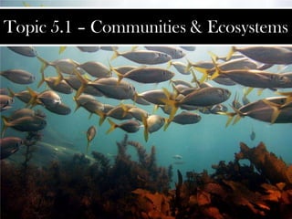Topic 5.1 – Communities & Ecosystems

 
