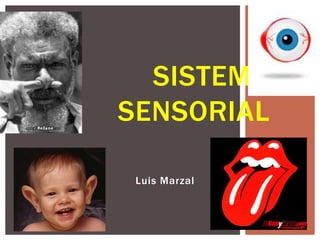 Luis Marzal
SISTEMA
SENSORIAL
 