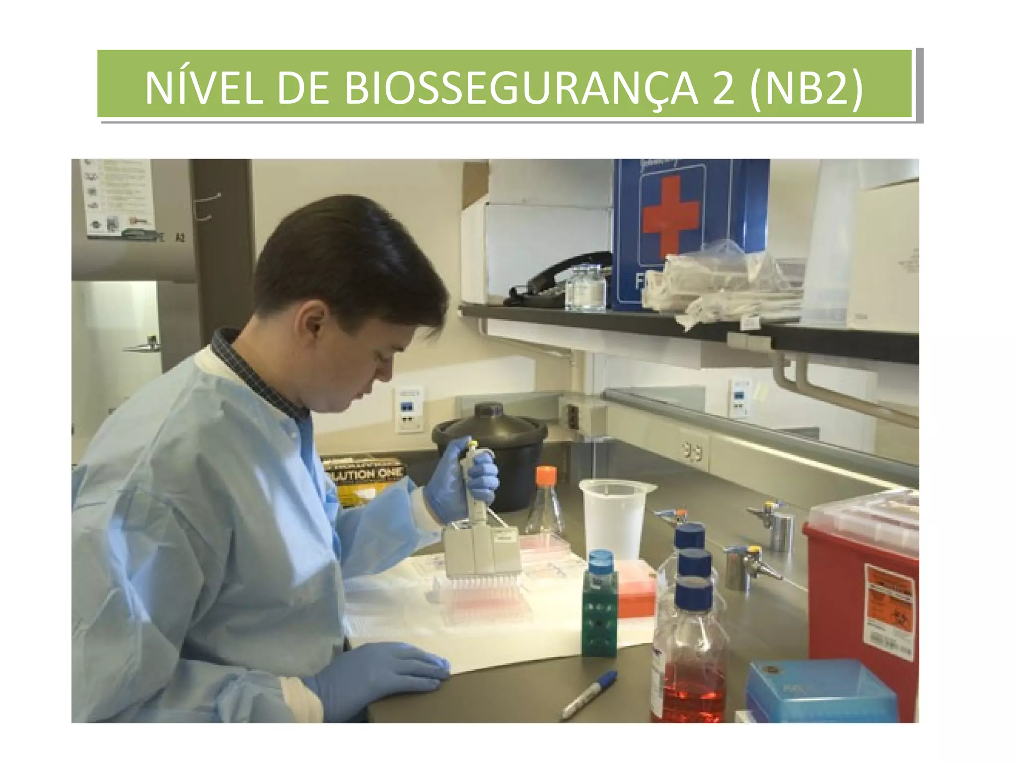 NÍVEL DE BIOSSEGURANÇA 2 (NB2)NÍVEL DE BIOSSEGURANÇA 2 (NB2)
 