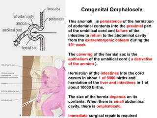 Congenital Omphalocele
This anomali is persistence of the herniation
of abdominal contents into the proximal part
of the umbilical cord and failure of the
intestine to return to the abdominal cavity
from the extraembryonic coleom during the
10th
week.
The covering of the hernial sac is the
epithelium of the umbilical cord ( a derivative
of the amnion ).
Herniation of the intestines into the cord
occurs in about 1 of 5000 births and
herniation of the liver and intestines in 1 of
about 10000 births.
The size of the hernia depends on its
contents. When there is small abdominal
cavity, there is omphalocele.
Immediate surgical repair is required
 