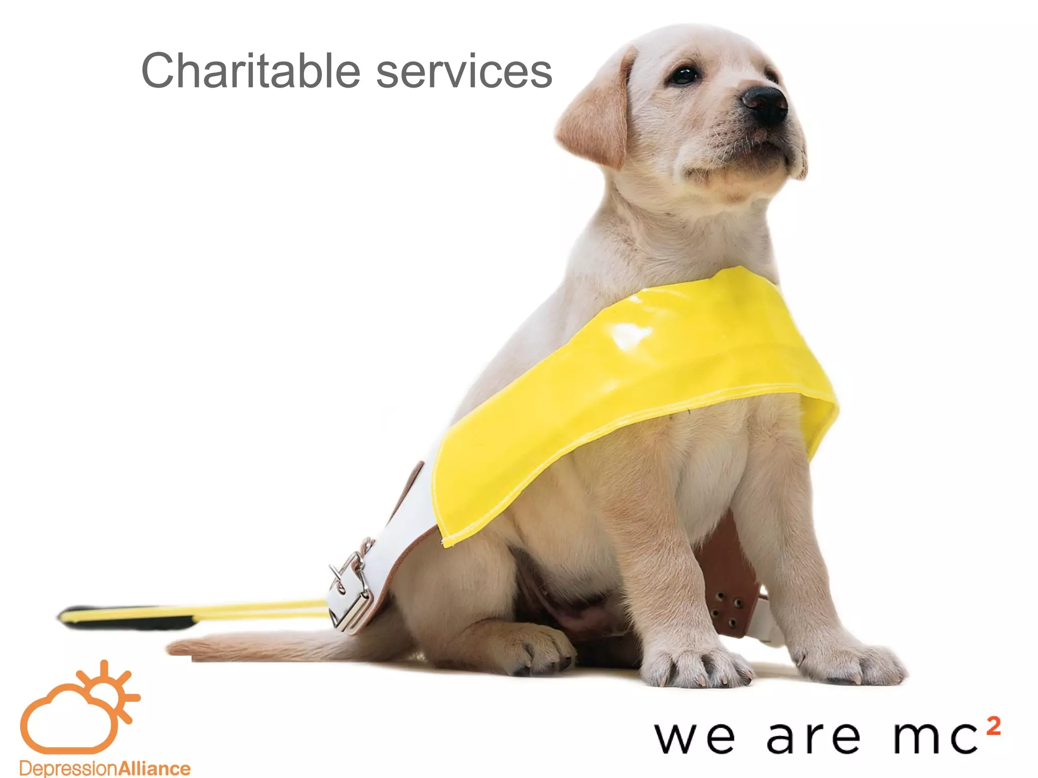 Charitable services
 