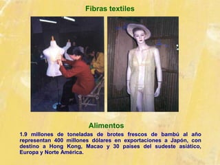 Fibras textiles
Alimentos
1.9 millones de toneladas de brotes frescos de bambú al año
representan 400 millones dólares en exportaciones a Japón, con
destino a Hong Kong, Macao y 30 países del sudeste asiático,
Europa y Norte América.
 