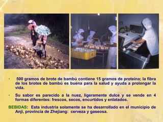 • 500 gramos de brote de bambú contiene 15 gramos de proteína; la fibra
de los brotes de bambú es buena para la salud y ayuda a prolongar la
vida.
• Su sabor es parecido a la nuez, ligeramente dulce y se vende en 4
formas diferentes: frescos, secos, encurtidos y enlatados.
BEBIDAS: Esta industria solamente se ha desarrollado en el municipio de
Anji, provincia de Zhejiang: cerveza y gaseosa.
 
