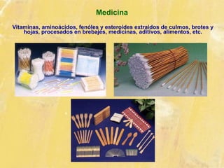 Medicina
Vitaminas, aminoácidos, fenóles y esteroides extraidos de culmos, brotes y
hojas, procesados en brebajes, medicinas, aditivos, alimentos, etc.
 