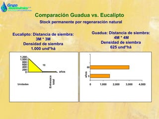 Comparación Guadua vs. Eucalipto
Stock permanente por regenaración natural
Guadua: Distancia de siembra:
4M * 4M
Densidad de siembra
625 und*há
5
60
0 1,000 2,000 3,000 4,000
años
Eucalipto: Distancia de siembra:
3M * 3M
Densidad de siembra
1.000 und*há
Unidades
Entresaca
total
años
10
0
200
400
600
800
1,000
1,200
 