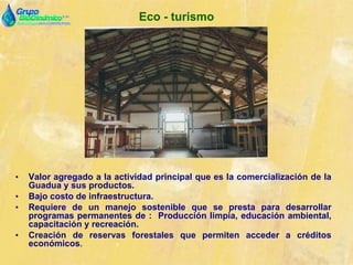 Eco - turismo
• Valor agregado a la actividad principal que es la comercialización de la
Guadua y sus productos.
• Bajo costo de infraestructura.
• Requiere de un manejo sostenible que se presta para desarrollar
programas permanentes de : Producción limpia, educación ambiental,
capacitación y recreación.
• Creación de reservas forestales que permiten acceder a créditos
económicos.
 