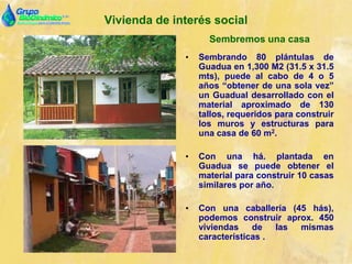 Vivienda de interés social
Sembremos una casa
• Sembrando 80 plántulas de
Guadua en 1,300 M2 (31.5 x 31.5
mts), puede al cabo de 4 o 5
años “obtener de una sola vez”
un Guadual desarrollado con el
material aproximado de 130
tallos, requeridos para construir
los muros y estructuras para
una casa de 60 m2.
• Con una há. plantada en
Guadua se puede obtener el
material para construir 10 casas
similares por año.
• Con una caballería (45 hás),
podemos construir aprox. 450
viviendas de las mismas
características .
 