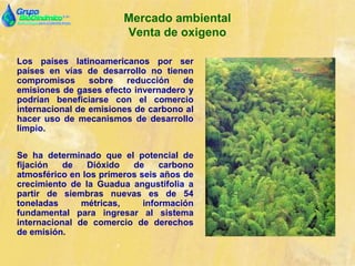 Mercado ambiental
Venta de oxigeno
Los países latinoamericanos por ser
países en vías de desarrollo no tienen
compromisos sobre reducción de
emisiones de gases efecto invernadero y
podrían beneficiarse con el comercio
internacional de emisiones de carbono al
hacer uso de mecanismos de desarrollo
limpio.
Se ha determinado que el potencial de
fijación de Dióxido de carbono
atmosférico en los primeros seis años de
crecimiento de la Guadua angustifolia a
partir de siembras nuevas es de 54
toneladas métricas, información
fundamental para ingresar al sistema
internacional de comercio de derechos
de emisión.
 