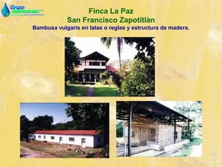 Finca La Paz
San Francisco Zapotitlàn
Bambusa vulgaris en latas o reglas y estructura de madera.
 