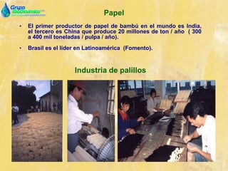 Papel
• El primer productor de papel de bambú en el mundo es India,
el tercero es China que produce 20 millones de ton / año ( 300
a 400 mil toneladas / pulpa / año).
• Brasil es el líder en Latinoamérica (Fomento).
Industria de palillos
 