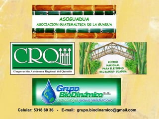 Celular: 5318 60 36 - E-mail: grupo.biodinamico@gmail.com
 