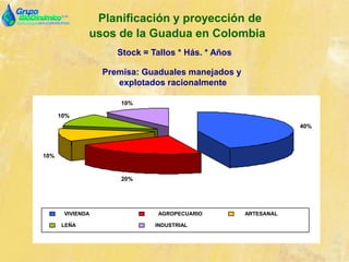 Planificación y proyección de
usos de la Guadua en Colombia
Stock = Tallos * Hás. * Años
Premisa: Guaduales manejados y
explotados racionalmente
10%
20%
40%
10%
10%
VIVIENDA AGROPECUARIO ARTESANAL
LEÑA INDUSTRIAL
 