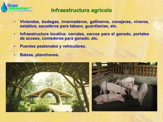 Infraestructura agrícola
• Viviendas, bodegas, invernaderos, gallineros, conejeras, viveros,
establos, secaderos para tabaco, guardianías, etc.
• Infraestructura locativa: corrales, cercos para el ganado, portales
de acceso, comederos para ganado, etc.
• Puentes peatonales y vehículares.
• Balsas, planchones.
 