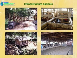 Infraestructura agrícola
 