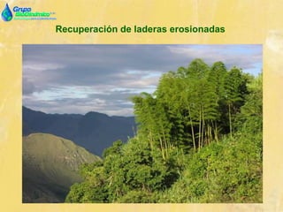 Recuperación de laderas erosionadas
 