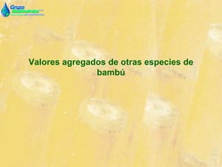 Valores agregados de otras especies de
bambú
 