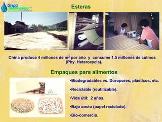 Esteras
China produce 4 millones de m2 por año y consume 1.5 millones de culmos
(Phy. Heterocycla).
Empaques para alimentos
•Biodegradables vs. Duropores, plásticos, etc.
•Reciclable (reutilizable).
•Vida útil: 2 años.
•Bajo costo (papel reciclado).
•Bio-comercio.
 