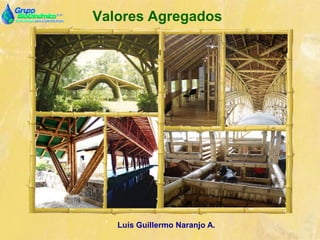 Valores Agregados
Luís Guillermo Naranjo A.
 