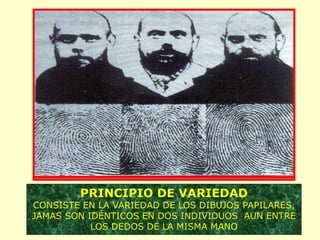 PRINCIPIO DE VARIEDAD
CONSISTE EN LA VARIEDAD DE LOS DIBUJOS PAPILARES,
JAMAS SON IDÉNTICOS EN DOS INDIVIDUOS AUN ENTRE
LOS DEDOS DE LA MISMA MANO
 