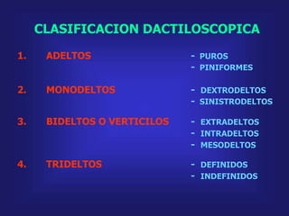 CLASIFICACION DACTILOSCOPICA
1. ADELTOS - PUROS
- PINIFORMES
2. MONODELTOS - DEXTRODELTOS
- SINISTRODELTOS
3. BIDELTOS O VERTICILOS - EXTRADELTOS
- INTRADELTOS
- MESODELTOS
4. TRIDELTOS - DEFINIDOS
- INDEFINIDOS
 