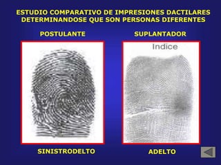 ESTUDIO COMPARATIVO DE IMPRESIONES DACTILARES
DETERMINANDOSE QUE SON PERSONAS DIFERENTES
ADELTOSINISTRODELTO
SUPLANTADORPOSTULANTE
 