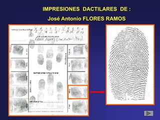 IMPRESIONES DACTILARES DE :
José Antonio FLORES RAMOS
 