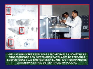 HUELLAS PAPILARES REVELADAS APROVECHABLES, SOMETIDAS A
PROCESAMIENTO CON IMPRESIONES DACTILARES DE PERSONAS
SOSPECHOSAS Y LAS EXISTENTES EN EL ARCHIVO INCRIMINADO DE
LA DIVISION CENTRAL DE IDENTIFICACION POLICIAL
 