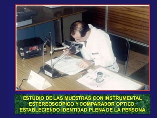 ESTUDIO DE LAS MUESTRAS CON INSTRUMENTAL
ESTEREOSCOPICO Y COMPARADOR OPTICO,
ESTABLECIENDO IDENTIDAD PLENA DE LA PERSONA
 