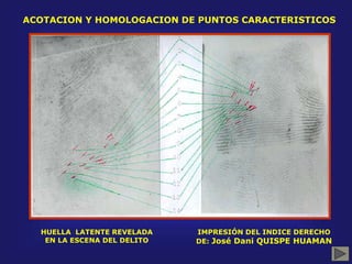 ACOTACION Y HOMOLOGACION DE PUNTOS CARACTERISTICOS
HUELLA LATENTE REVELADA
EN LA ESCENA DEL DELITO
IMPRESIÓN DEL INDICE DERECHO
DE: José Dani QUISPE HUAMAN
 