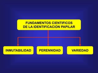 FUNDAMENTOS CIENTIFICOS
DE LA IDENTIFICACION PAPILAR
PERENNIDADINMUTABILIDAD VARIEDAD
 