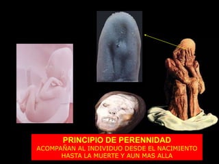 PRINCIPIO DE PERENNIDAD
ACOMPAÑAN AL INDIVIDUO DESDE EL NACIMIENTO
HASTA LA MUERTE Y AUN MAS ALLA
 