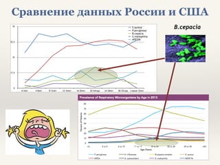 0
17,5
35
52,5
70
0-4лет 4-8лет 8-12лет 12-16лет 16-20лет 20-24года 24-28лет 28-32года старше 32лет
S.aureus
P.aeruginosa
В.cepacia
S.maltophilia
НПГОФ
B.cepacia
Сравнение данных России и США
 