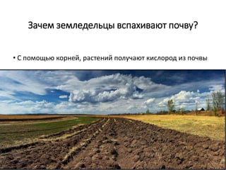 Зачем земледельцы вспахивают почву?
• С помощью корней, растений получают кислород из почвы
 