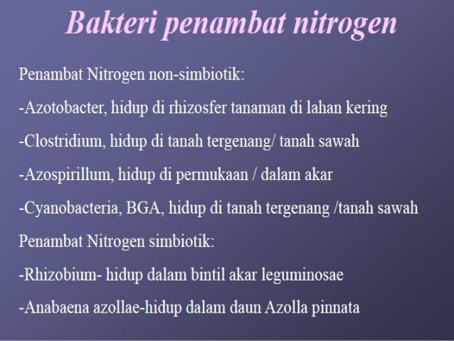 aplikasi mikroba pada tanaman pakan