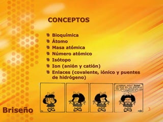 3
CONCEPTOS
Bioquímica
Átomo
Masa atómica
Número atómico
Isótopo
Ion (anión y catión)
Enlaces (covalente, iónico y puentes
de hidrógeno)
Briseño
 
