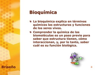 4
Bioquímica
La bioquímica explica en términos
químicos las estructuras y funciones
de los seres vivos.
Comprender la química de las
biomoléculas es un paso previo para
saber que estructura tienen, cómo
interaccionan, y, por lo tanto, saber
cuál es su función biológica.
Briseño
 