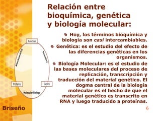 6
Relación entre
bioquímica, genética
y biología molecular:
Hoy, los términos bioquímica y
biología son casi intercambiables.
Genética: es el estudio del efecto de
las diferencias genéticas en los
organismos.
Biología Molecular: es el estudio de
las bases moleculares del proceso de
replicación, transcripción y
traducción del material genético. El
dogma central de la biología
molecular es el hecho de que el
material genético es transcrito en
RNA y luego traducido a proteínas.
Briseño
 