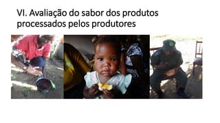 VI. Avaliação do sabor dos produtos
processados pelos produtores
 