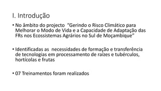 I. Introdução
• No âmbito do projecto “Gerindo o Risco Climático para
Melhorar o Modo de Vida e a Capacidade de Adaptação das
FRs nos Ecossistemas Agrários no Sul de Moçambique”
• Identificadas as necessidades de formação e transferência
de tecnologias em processamento de raízes e tubérculos,
hortícolas e frutas
• 07 Treinamentos foram realizados
 