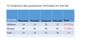 IV. Estatistica dos produtores formados em Xai-Xai
Descrição Nhocuene Poiombo Zongoene Chicumb. Total
Mulheres 14 14 24 15 67 (71%)
Homens 09 05 08 05 27 (29% )
Total 23 19 32 20 94
 