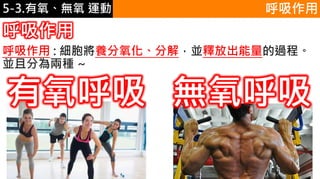 5-1.運動與體重控制 呼吸作用
呼吸作用
呼吸作用 : 細胞將養分氧化、分解，並釋放出能量的過程。
並且分為兩種 ~
有氧呼吸 無氧呼吸
5-3.有氧、無氧 運動
 
