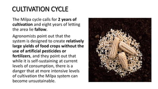 CAMBRIDGE GEOGRAPHY A2 - TROPICAL ENVIRONMENTS: POPOLUCA AND MILPA ...